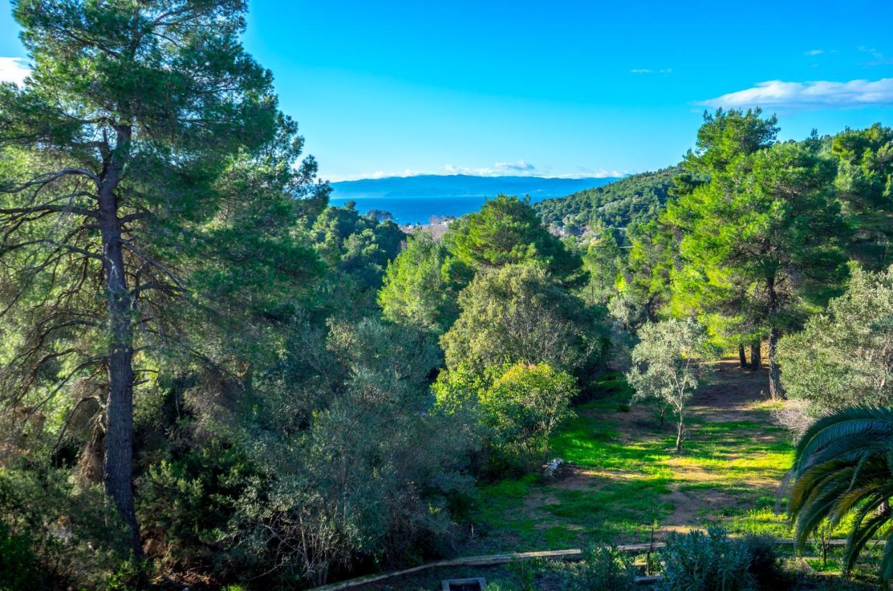 Forest Resort Suites Skiathos ตรูโลส ภายนอก รูปภาพ