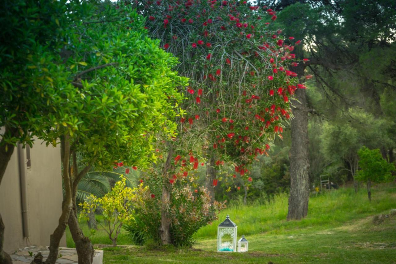 Forest Resort Suites Skiathos ตรูโลส ภายนอก รูปภาพ