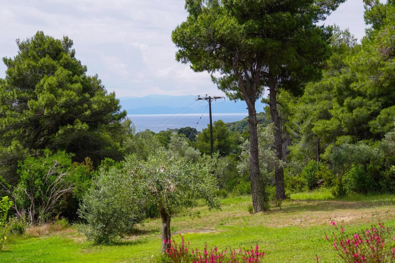 Forest Resort Suites Skiathos ตรูโลส ภายนอก รูปภาพ